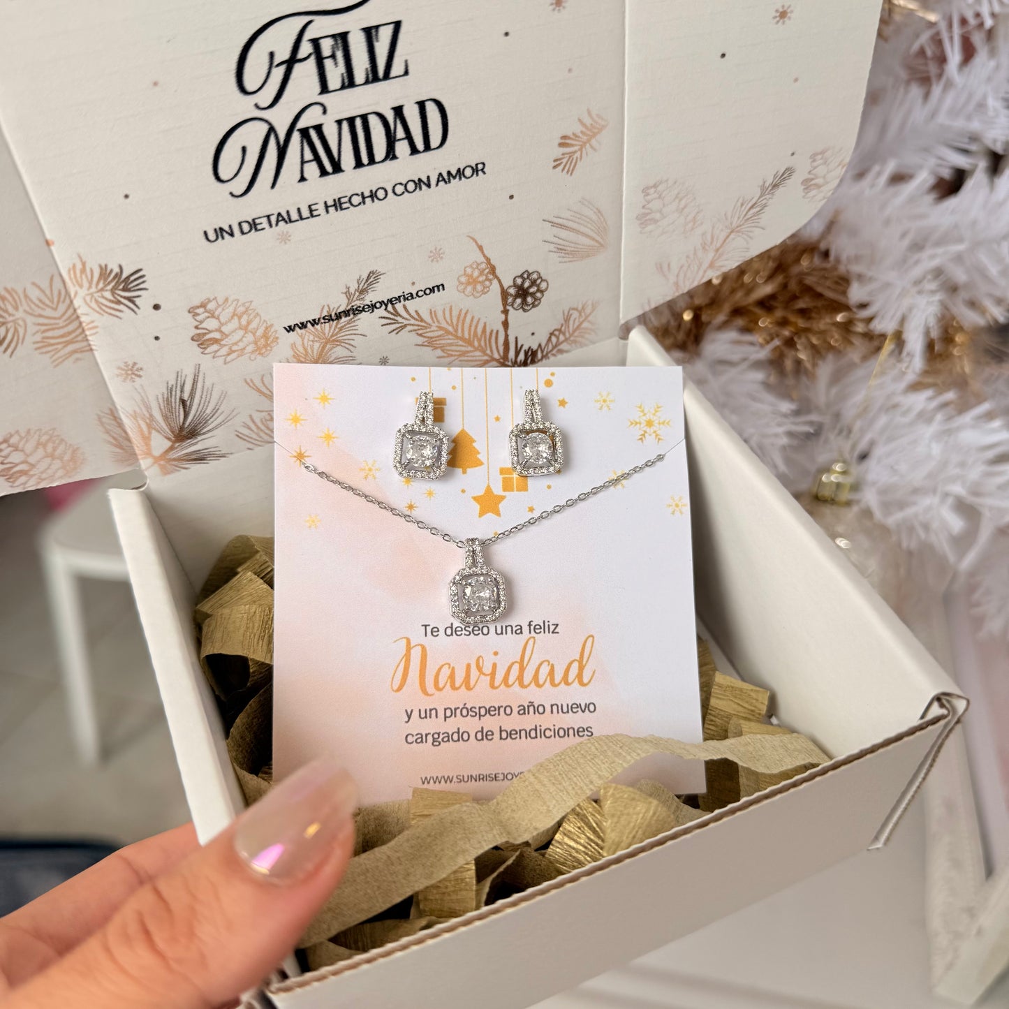 Set navideño plateado